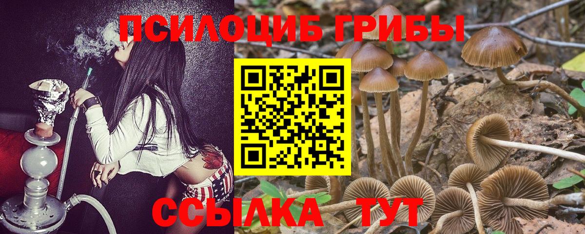 Галлюциногенные грибы Cubensis Балашов