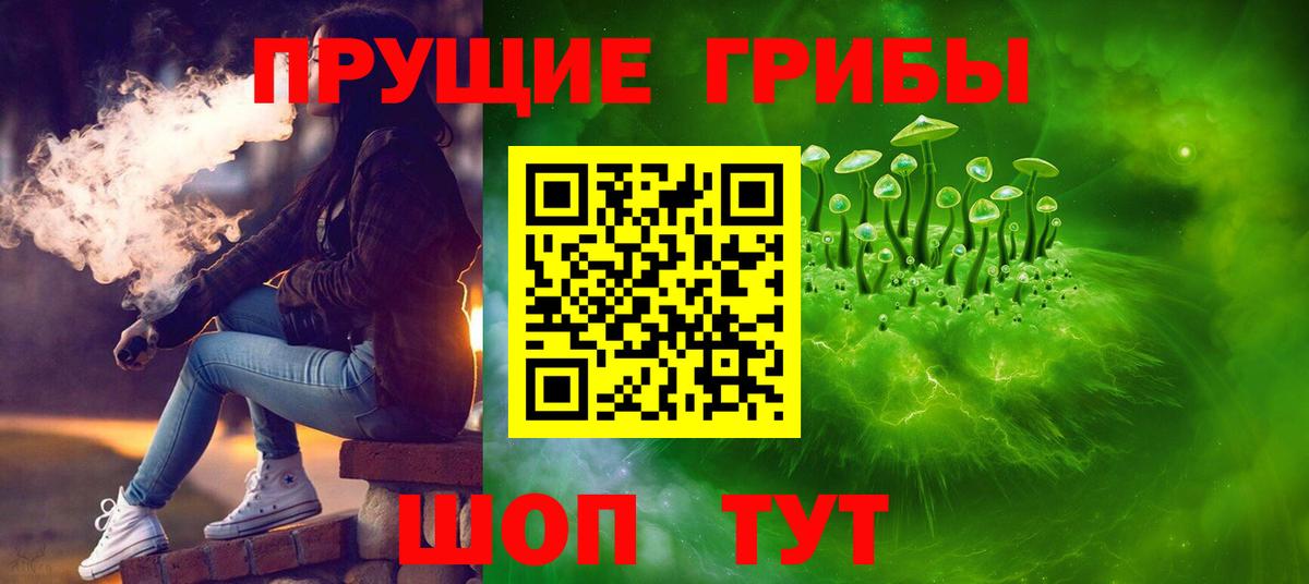 купить  цена  Вход с VPN  Балашов  Псилоцибиновые грибы прущие грибы 
